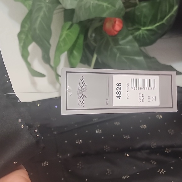 Tally Taylor Dress - Picture 8 of 9